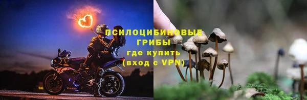 PSILOCYBIN Баксан