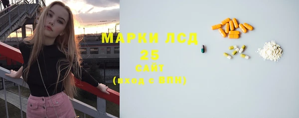 PSILOCYBIN Баксан